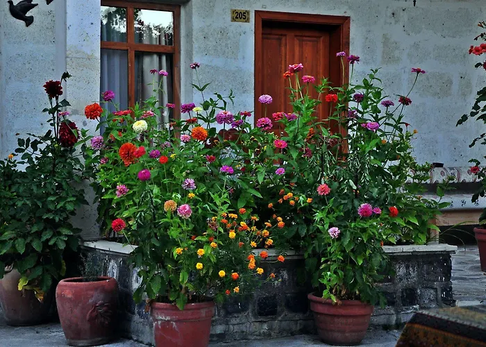 Duru Cappadocia Hotell 2*
